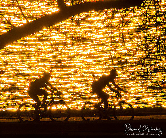 People Enjoying Spring In New York City