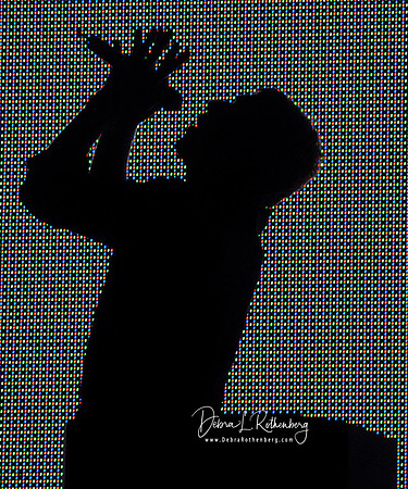Chris Martin